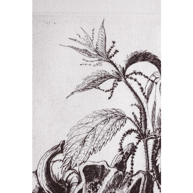 Angela Occhipinti was born in Perugia and lives and works in Milan. She studied in Florence and graduated in painting from...