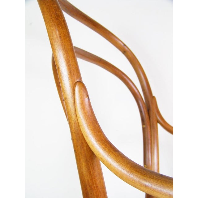 Armchair Thonet Nr.14 attributed to Michael Thonet for Thonet, 1870s For Sale - Image 6 of 11