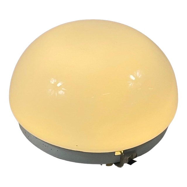 Dutch Ceiling Mounted Lamp Including New Bulb attributed to Gispen, 1970s For Sale