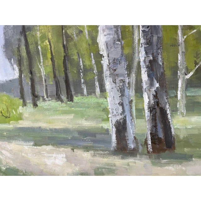 Birch Tree Impressionistic Landscape Original Oil Painting For Sale - Image 12 of 12