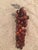 Great Color and Texture on this Polished Red Carnelian Stone Grape Cluster with Leaf.
