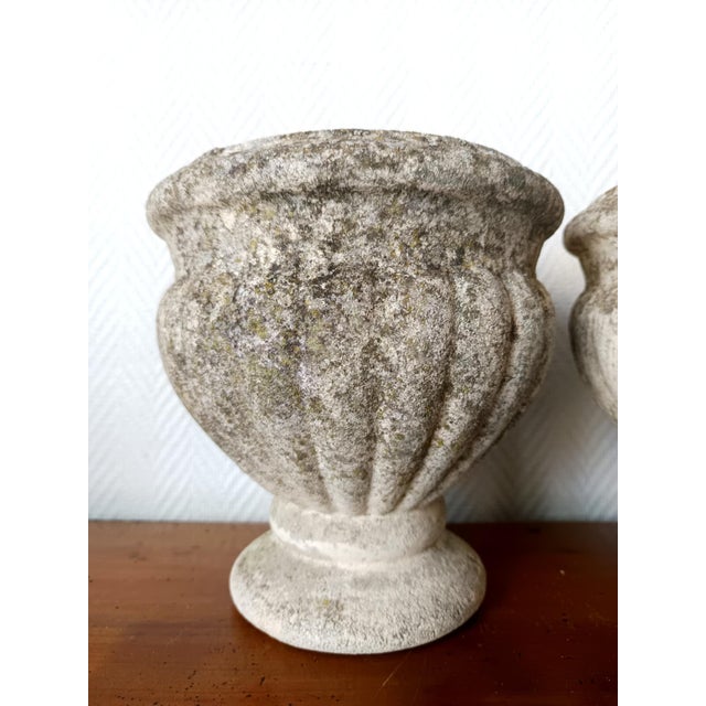 Stone Antique Medici Stone Planters, Set of 4 For Sale - Image 7 of 11