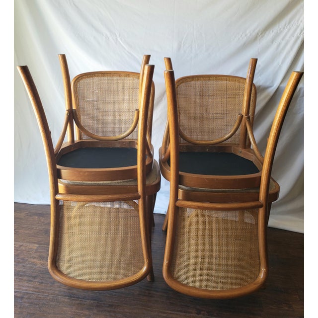 1970s Vintage Model 811 "Prague" Style Bentwood & Cane Dining Chairs - Set of 4 For Sale - Image 18 of 18