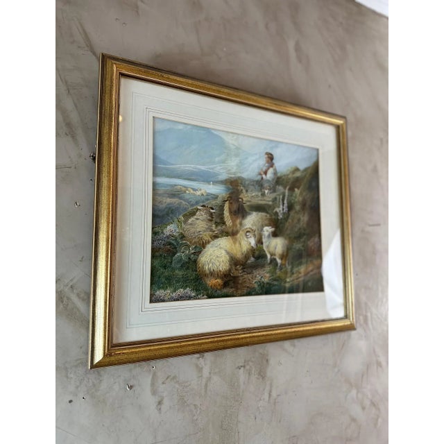 PH Staines, Sheep, Gouache on Paper, 1860 For Sale - Image 10 of 11