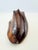 Vintage Hand-Carved Solid Wood Conch Shell Sculpture For Sale - Image 10 of 12