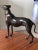 Late 20th Century Bronze Greyhound Statuette For Sale - Image 4 of 7