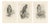 Lilian Marguerite Medland, Three British Raptors: Buzzards and Adult Goshawk, 1908, Photogravure, Set of 3 For Sale