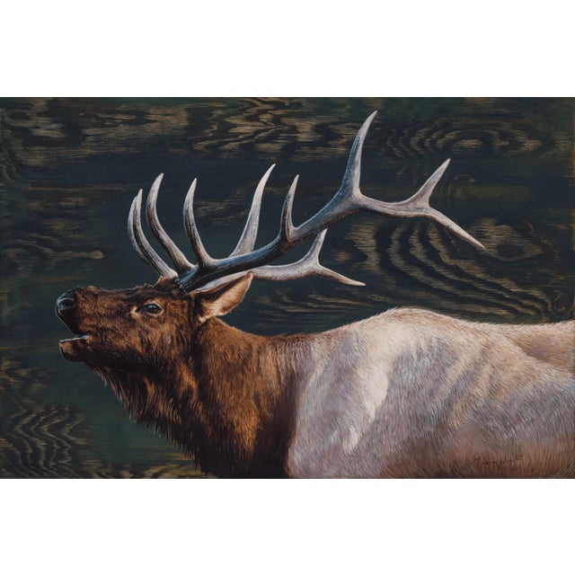 Call of the Wild by Terra Novak | Oil on wood Elk with antlers in a natural setting For Sale