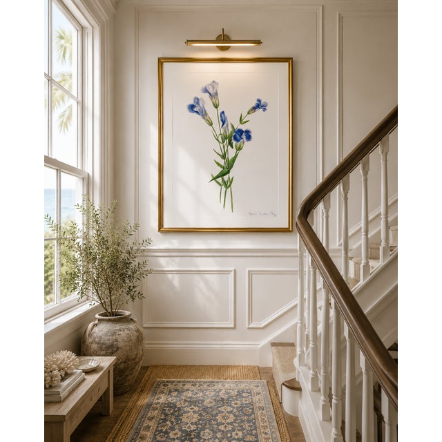Fringed Gentian, Vintage Botanical Art Print Reproduction by Mary Vaux Walcott, 40" X 60" For Sale - Image 4 of 11