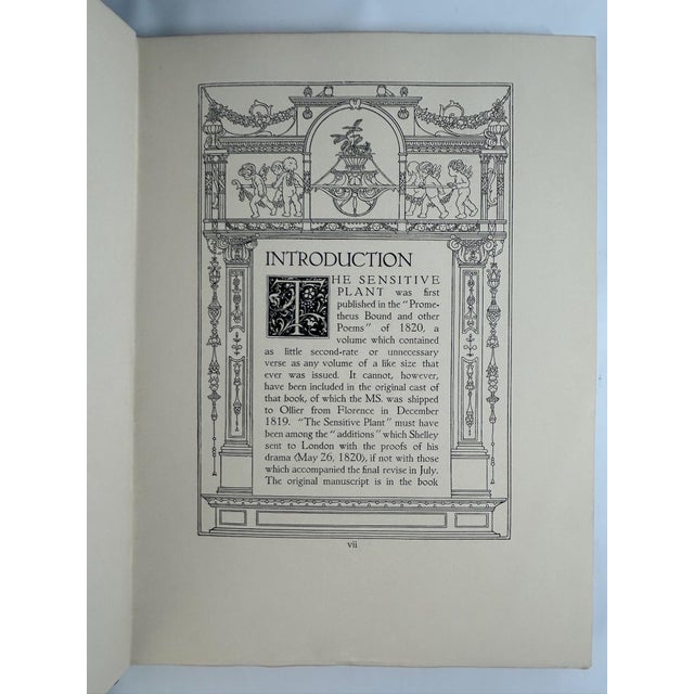 1910s Illustrated Quarto, Percy Bysshe Shelley's the Sensitive Plant - 1 Book For Sale In San Francisco - Image 6 of 12