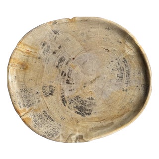 Oval Petrified Wood Trinket Tray with Grey Rings, 1980s For Sale