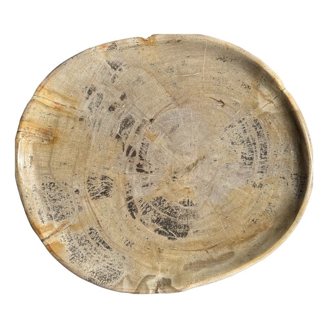 Oval Petrified Wood Trinket Tray with Grey Rings, 1980s For Sale