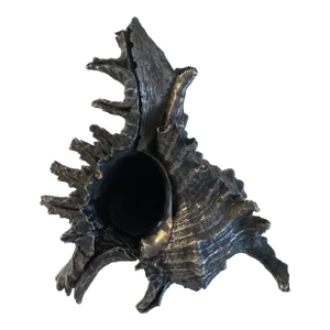 Mid 19th Century Silver Plated Shell Buccellati Style