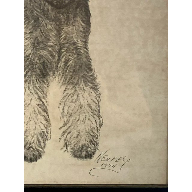 An original graphite drawing of a Schnauzer-type dog ('Henry') by artist T. Daughton, signed and dated 1974. The portrait...