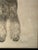 An original graphite drawing of a Schnauzer-type dog ('Henry') by artist T. Daughton, signed and dated 1974. The portrait...