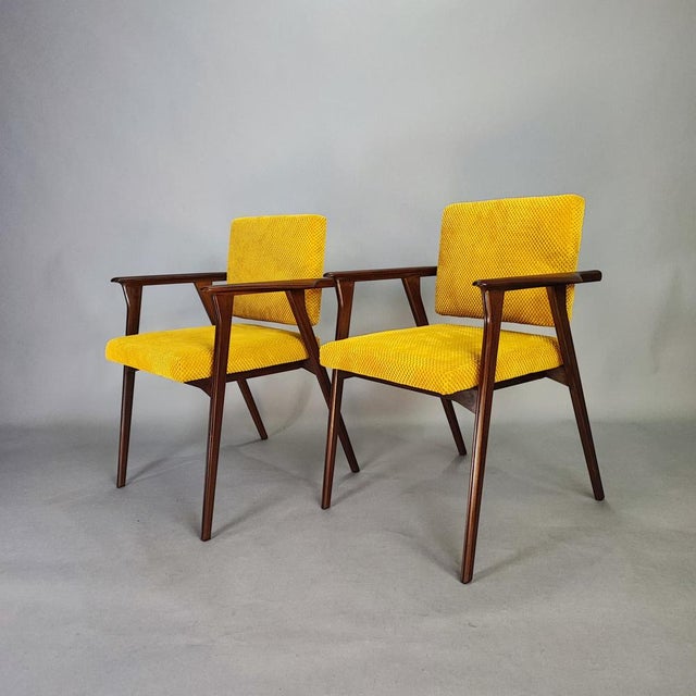 Armchairs in Rosewood and Yellow Velvet by Franco Albini for Poggi, Set of 2 For Sale - Image 3 of 14