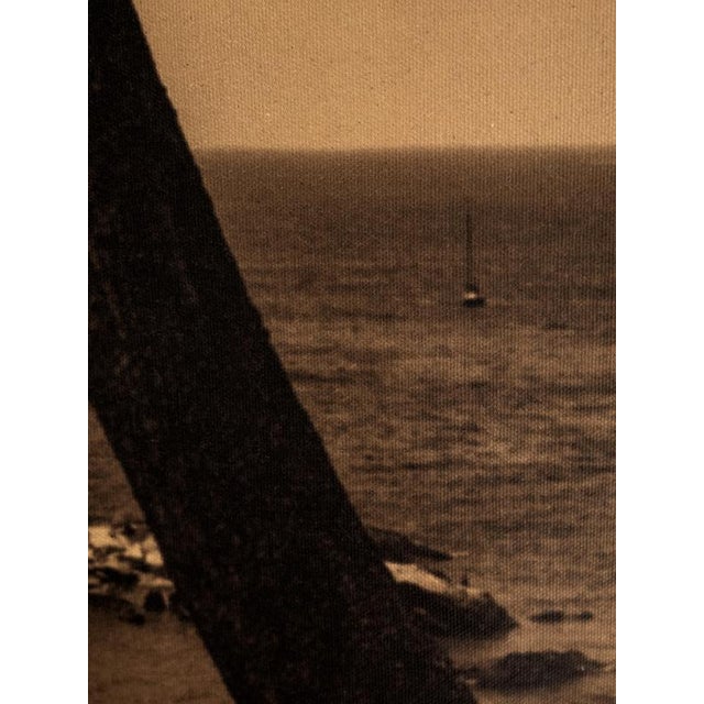 Early 21st Century Ugne Pouwell, Prevail, 2022, Photography For Sale - Image 5 of 9