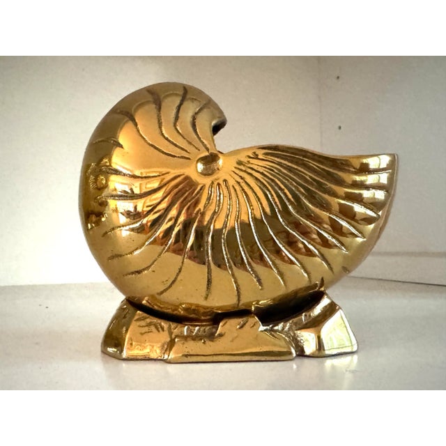Polished brass nautilus shell planter. Very sweet size. Great planted with a maiden fern!
