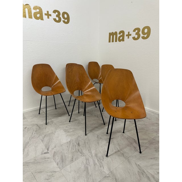 Set of 6 Medea Chairs by Vittorio Nobili, 1950s For Sale - Image 10 of 10