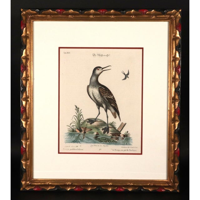 Ivory Johann Seligmann Set of Six Engravings of Water Birds For Sale - Image 8 of 10