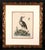 Ivory Johann Seligmann Set of Six Engravings of Water Birds For Sale - Image 8 of 10