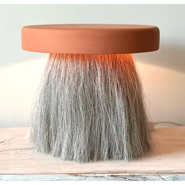 Trent Kendrick VELO LAMP 10"h x 12"dia A disc of terracotta. A curtain of natural horsehair, silver-gray and undyed,...