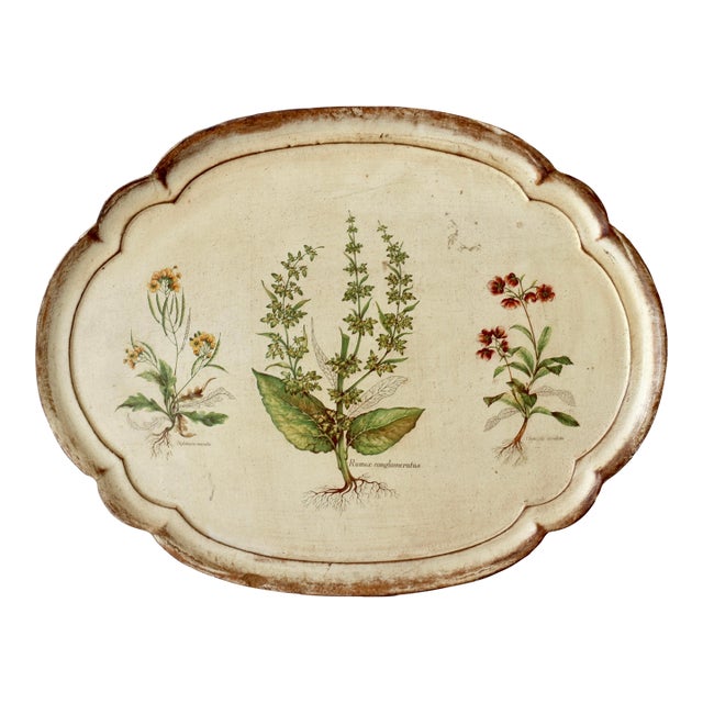 Midcentury Italian Florentine Botanicals Vanity Tray For Sale
