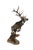 Bronze James Stafford "Flight" Bronze Elk Sculpture For Sale - Image 8 of 11