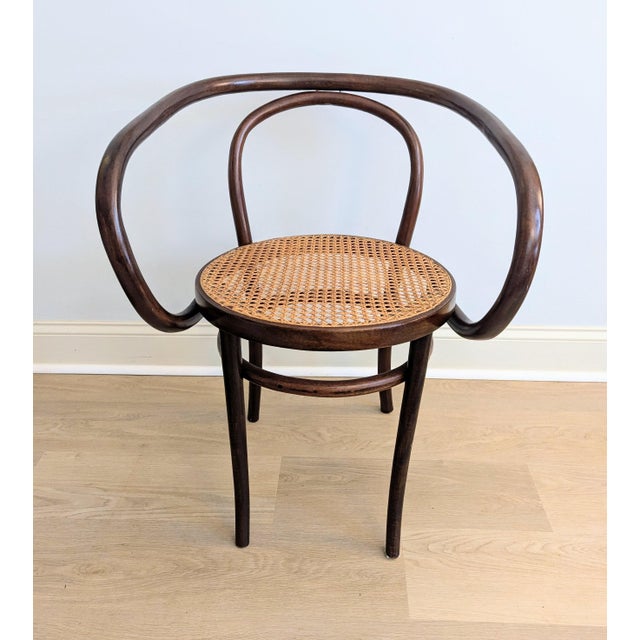 Art Deco Vintage Gerdau Bentwood Chair Caviuna Wood & Cane Seat in the Style of Thonet For Sale - Image 3 of 14