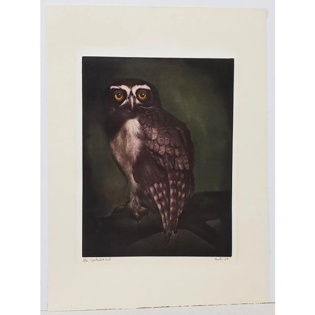 Jack Coutu (1924-2017) "Speckled Owl" Original Pencil Signed Etching C.1968 For Sale - Image 11 of 11
