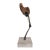 Bronze Arles Del Rio Sculpture, "Hoping That Things Fall From the Sky" For Sale