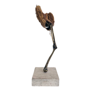 Bronze Arles Del Rio Sculpture, "Hoping That Things Fall From the Sky"