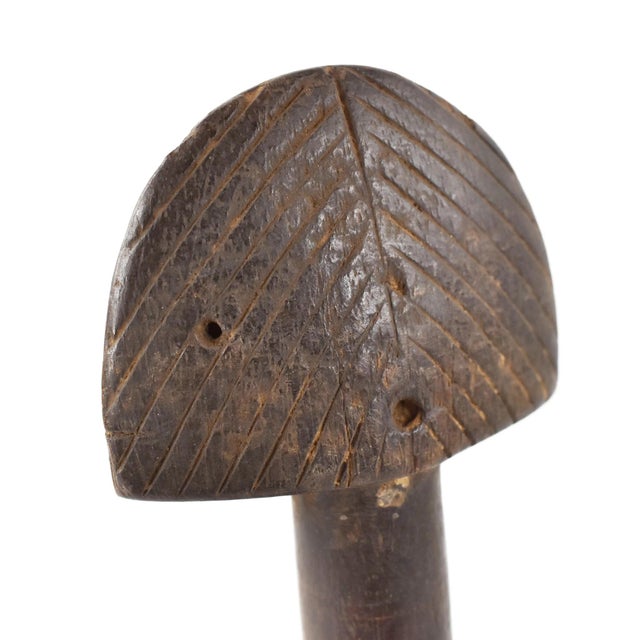 The Mossi, the largest group in Burkina Faso, trace their origins to Ghana in the 1500s. They're known for elaborate...