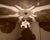 Mid 20th Century Italian Handmade Porcelain & White Murano Style Glass Daisy Chandeliers - a Pair For Sale - Image 10 of 17