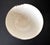 British Studio Ceramic Bowl with Magnesium Glaze Lucie Rie For Sale - Image 10 of 12