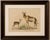 Antique Antelope Lithograph by Karl Joseph Brodtmann, 1816 This elegant early 19th-century hand-colored lithograph by the...