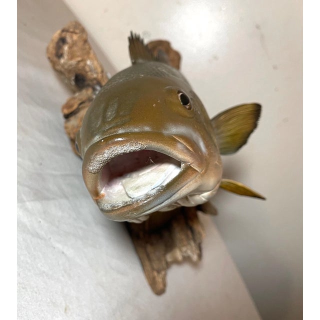 Vintage Handmade Eg Carved Wood Smallmouth Bass Wall Fish Mount Trophy Sculpture For Sale - Image 16 of 18