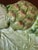 FItz and Floyd French Market Style Ceramic Platter For Sale - Image 11 of 11