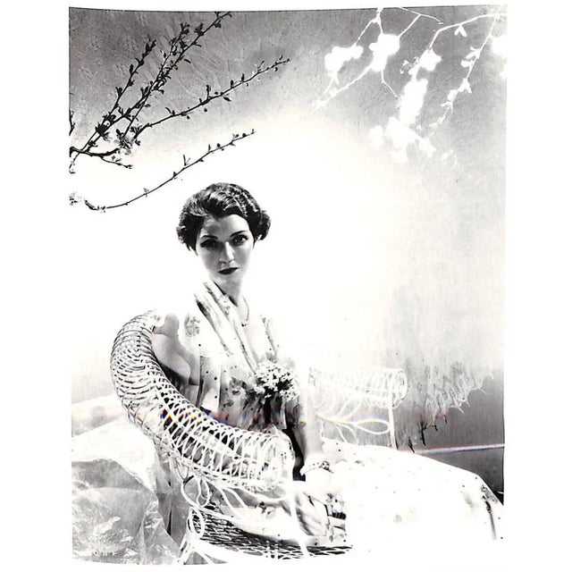 1990s "Kentucky Countess Mona Bismark in Art & Fashion" Birchfield, James D. For Sale - Image 5 of 9