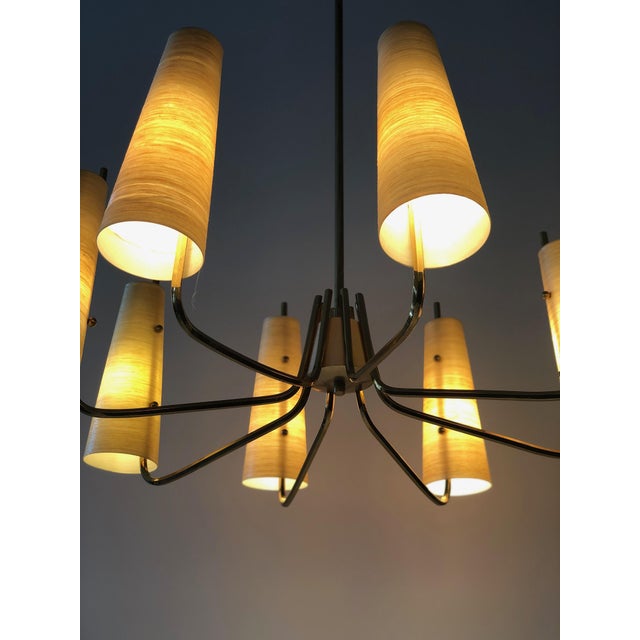 Chandelier in Brass with Fiber Glass Shades by Rupert Nikoll, Austria, 1962 For Sale - Image 14 of 15