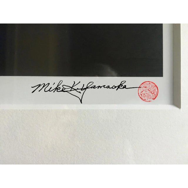 Digital photograph from film original hp premium satin photo paper with archival inks edition 3 of 9 shipped in a tube...