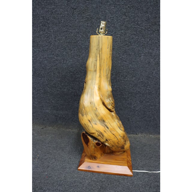Mid 20th Century Mid 20th Century Mid Century Modern Organic Driftwood Table Lamp For Sale - Image 5 of 8
