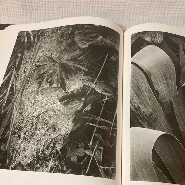 1976 First Edition Paul Strand "Sixty Years of Photographs" Hardcover Aperture Monograph For Sale - Image 10 of 12