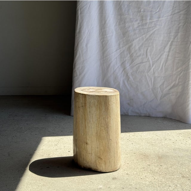 Oval White Petrified Wood Side Table, 1980s For Sale - Image 4 of 18