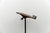 Wood Mid-Century Modern Art Deco Cherry Wood Music Stand, France, 1950s For Sale - Image 7 of 12