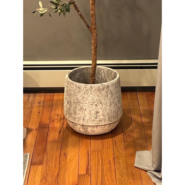 This pot planter brings a touch of vintage charm to your home. It's made from cement and strikes a bowl-like silhouette...