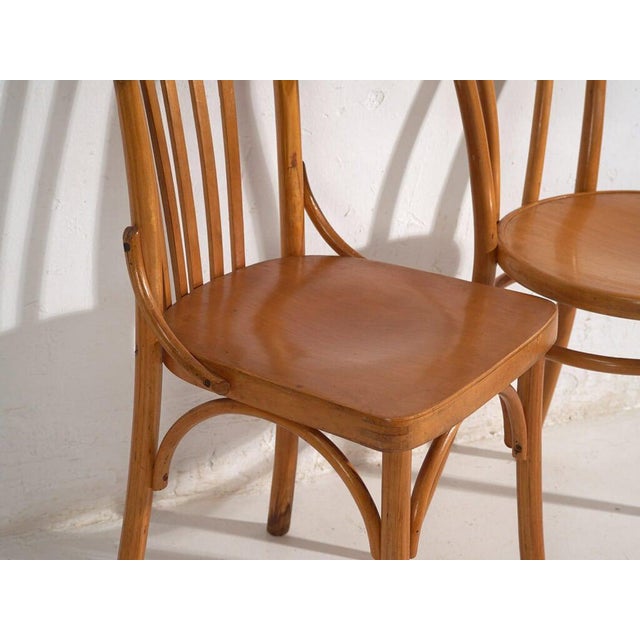 Brown Antique Dining Chairs from Ton, Set of 8 For Sale - Image 8 of 18