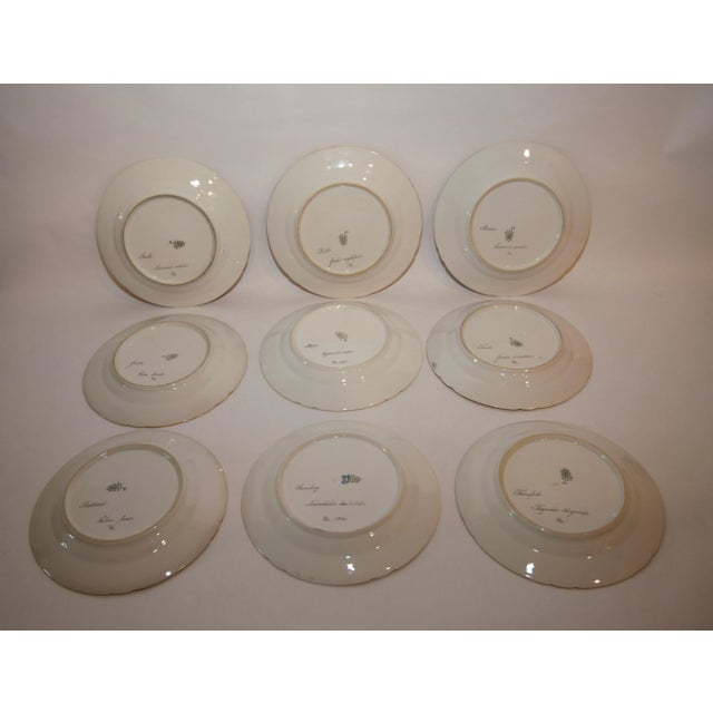 Early 20th Century Bing & Grondahl Custom Hand-Painted & Signed Danish Fish Set- 34 Pieces For Sale - Image 11 of 12