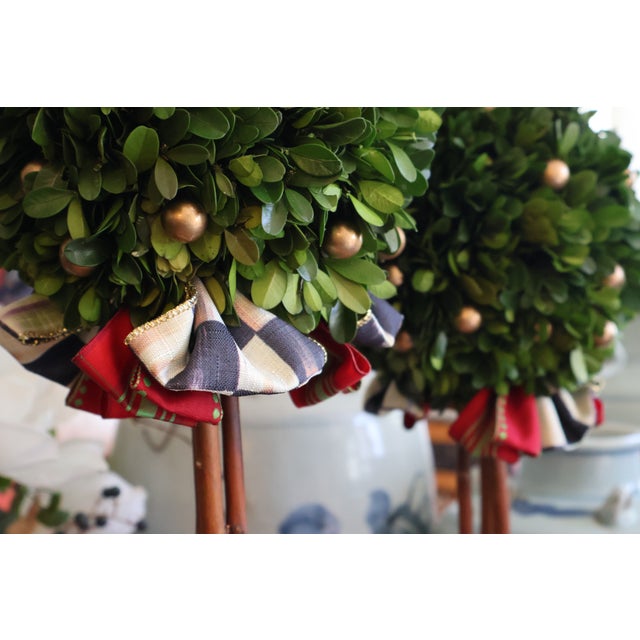 Wood MacKenzie-Childs Courtly Check Holiday Boxwood Topiary Trees With Gold Accents — A Pair For Sale - Image 7 of 18