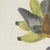 Descourtilz, Tanagers on a Banana Plant, Brazilian Bird Print, 1944, Paper For Sale - Image 4 of 12